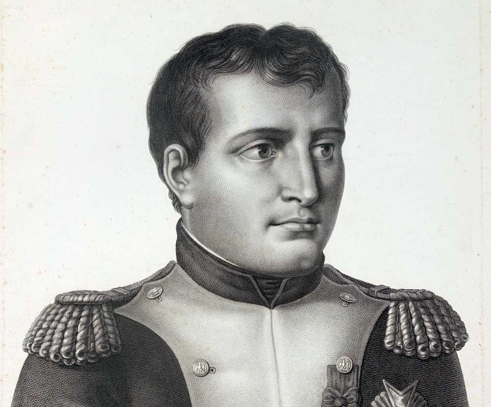 Наполеон 4. Усы Наполеона. Наполин Эдуард Владимировичу. Наполеон комар. Охранники Наполеона.