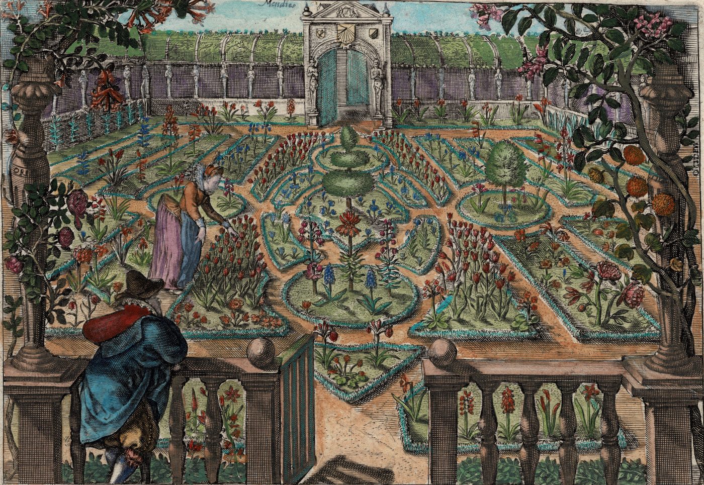 Crispijn Van De Passe - Elegant 17th Century Garden with Tulips (Sold ...